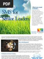 SMS For Senior Leaders