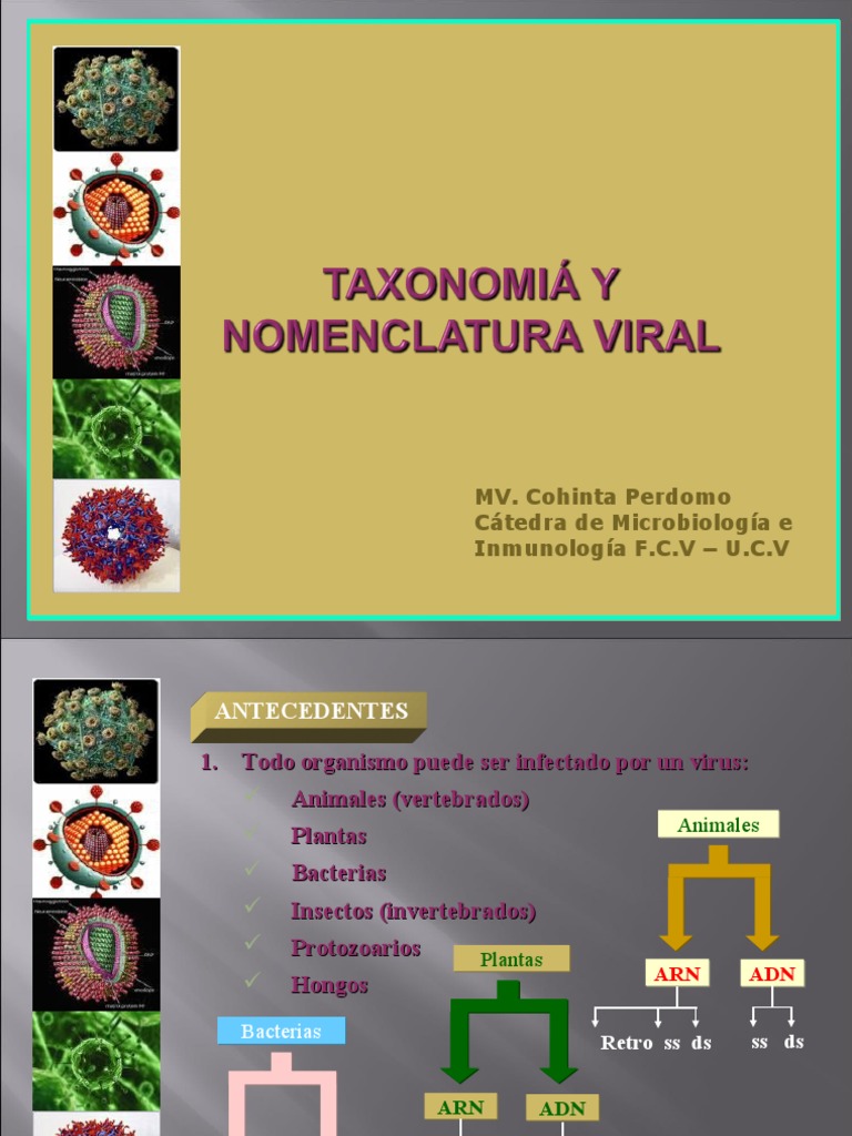 Clase 18. Taxonomía y clasificación viral 2010