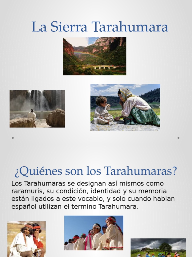 Tarahumara S