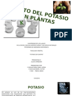 Fisiologia Potasio en Plantas