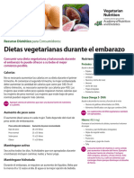 Pregnancy Vegetarian Nutrition Spanish