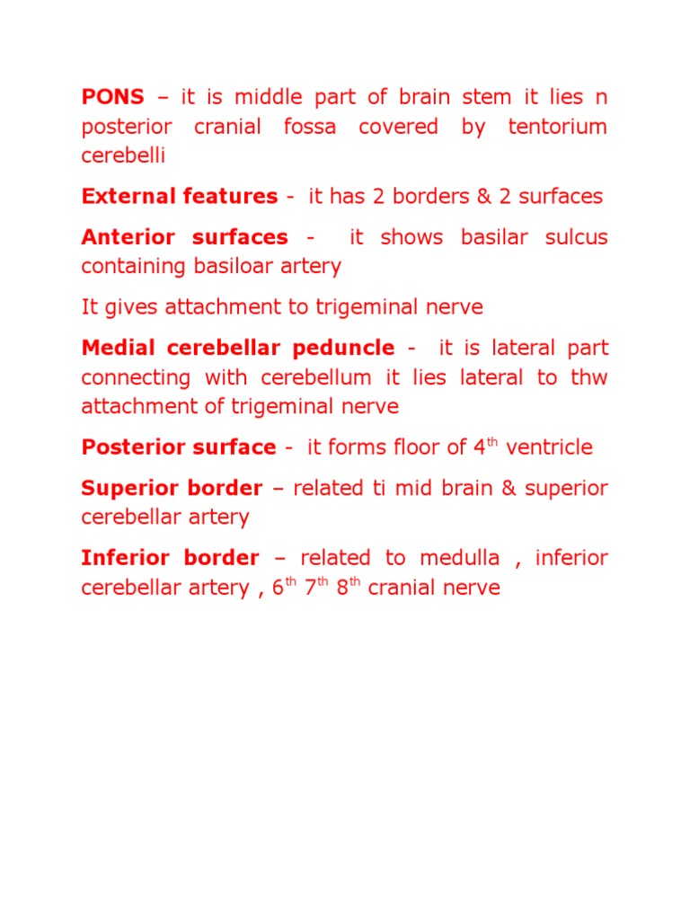 Anatomy of the Pons in the Brain Stem | PDF | Home & Garden | Self ...