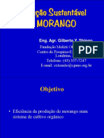 Palestra Gilberto Shingo.pdf
