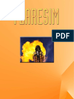 Flaresim.pdf