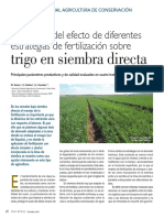 Evaluación Del Efecto de Diferentes Estrategias de Fertilización Sobre Trigo en Siembra Directa PDF