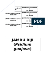 Jambu Biji (Psidium: Guajava)