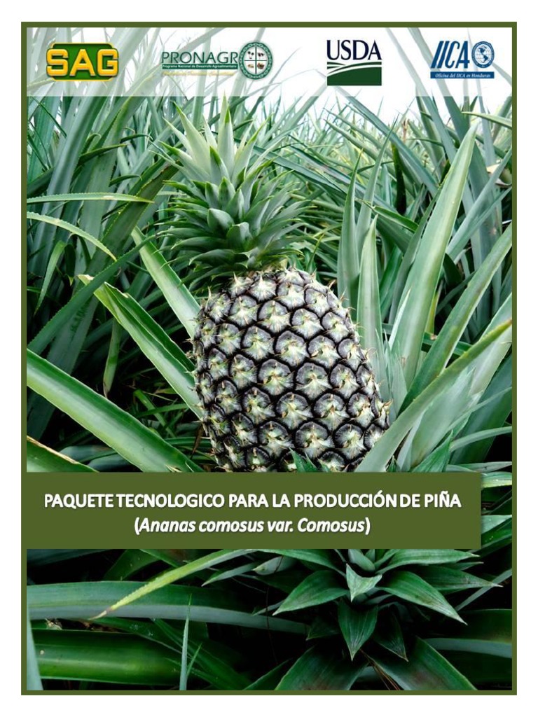 Paquete Tecnologico de Pina | PDF | Piña | Suelo