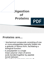 Digestion Proteins Lecture