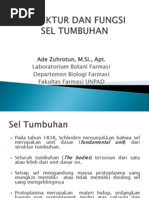 2 2016 Struktur Dan Fungsi Sel Tumbuhan Resin Chloroplast