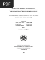 Download PRAK 1 PRAKTIKUM 1docx by Maulana Habibi SN343003966 doc pdf