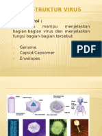 VIRUS STRUKTUR