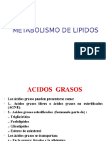 LIPIDOS