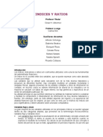 05 _ Indices y Ratios