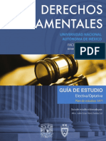 Guia_Derechos_Fundamentales.pdf