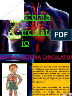 aparato circulatorio