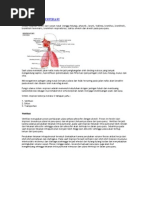 Download FISIOLOGIS RESPIRASI by mariam_n10tangsel SN34303777 doc pdf