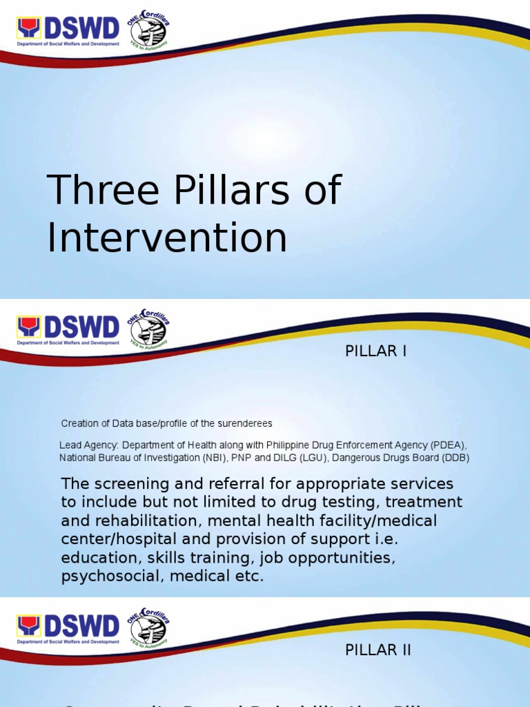 Three Pillars of Drug Rehabilitation | PDF
