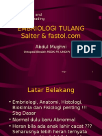 Embriologi Tlg.ppt