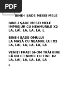 Bine-I Sade Mesei Mele