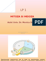 LP1-Mitozasimeioza