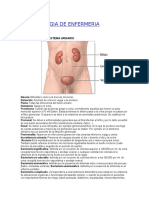 TERMINOLOGÍA DE ENFERMERÍA