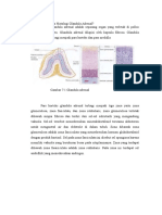 Tutorial Adrenal