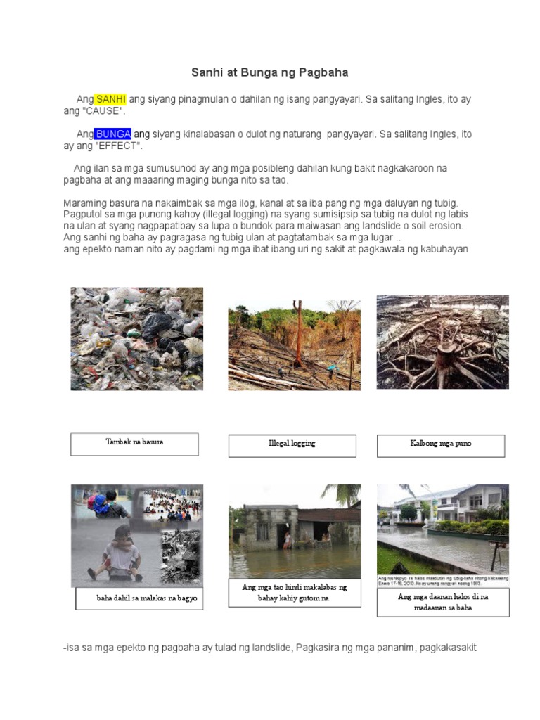 Sanhi at bunga ng polusyon essay 02 image