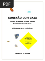 CONEXÃO COM GAIA. Energia de pedras, cristais, metais, fossilizados e muito mais. Livro.