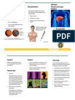 300379967-Leaflet-Hepatitis-B.pdf