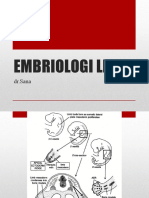 Embriologi Limb