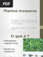 Plantas Invasoras