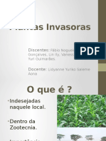 Plantas Invasoras