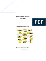 Proiect Grupa Mijlocie