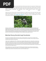 Download kandungan eceng gondok by Fiqih Andrian Ilmansyah SN343080032 doc pdf