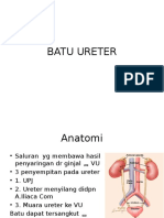 Ureter Stone Batu Ureter