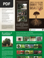 A Revised Felidae Taxonomy CatNews  PDF  Felidae  Species