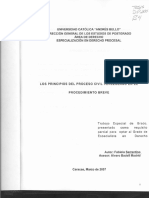LOS PRINCIPIOS DEL PROCESO CIVIL VLANO EN EL PROCEDIMIENTO BREVE.pdf