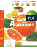 Brochure Agrumes 2011