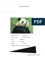 Reportaje Panda1 PDF