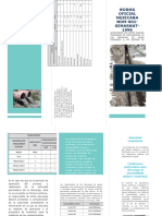 Triptico Ambiental