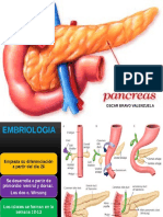 PANCREAS: Estructura, función y patologías