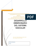 Sistema Vascular 2017