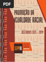 Relatório destaques-2011-2014-promocao-da-igualdade-racial