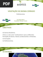 Aula 15_vegetacao Bioma Cerrado