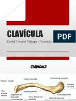 CLAVÍCULA