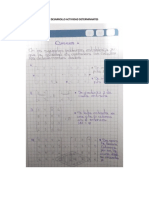 Desarrollo Actividad Determinantes PDF