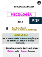 1 Clase-Estructura Fungica-2014.pdf