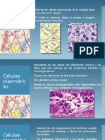 Introducción al estudio del tejido conectivo PARTE II.pptx
