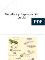 Genetica y Reproduccion Celular 2017