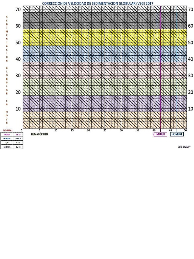 VSG | PDF